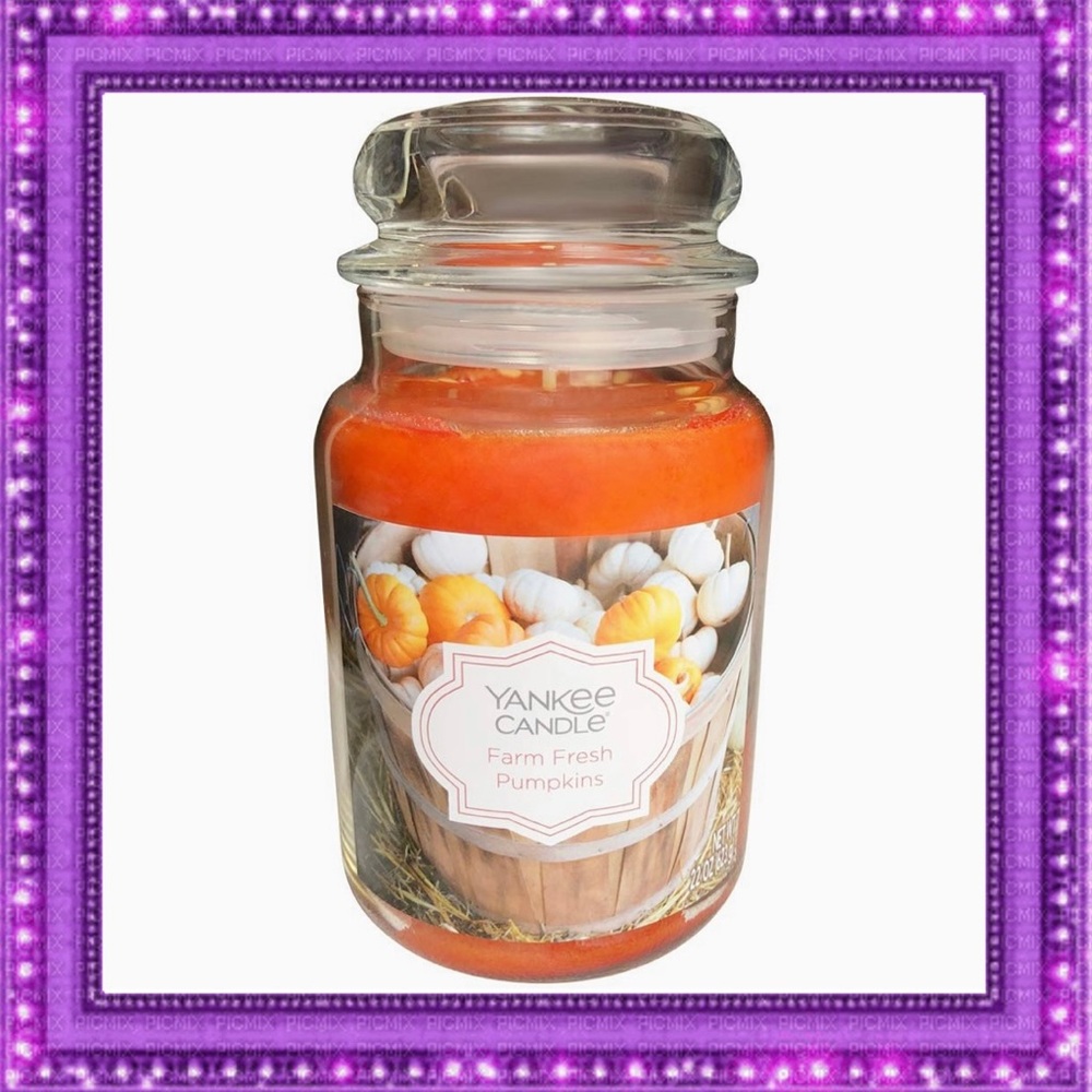 Large YANKEE CANDLE Farm Fresh Pumpkins 22 oz